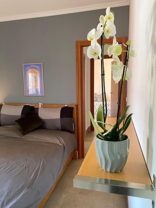 A Casa Di Tina Apartment Дженцано ди Рома Екстериор снимка
